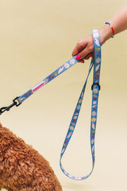 Fetch on the Beach Pet Lead