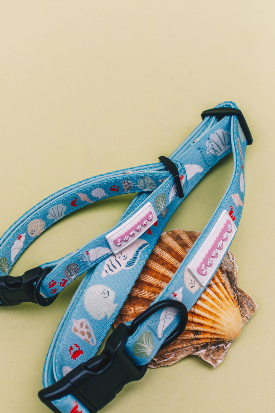 Fetch on the Beach Pet Collar