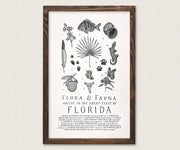 Florida Field Guide Art Print