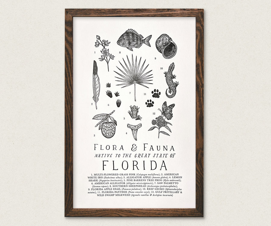 Florida Field Guide Art Print