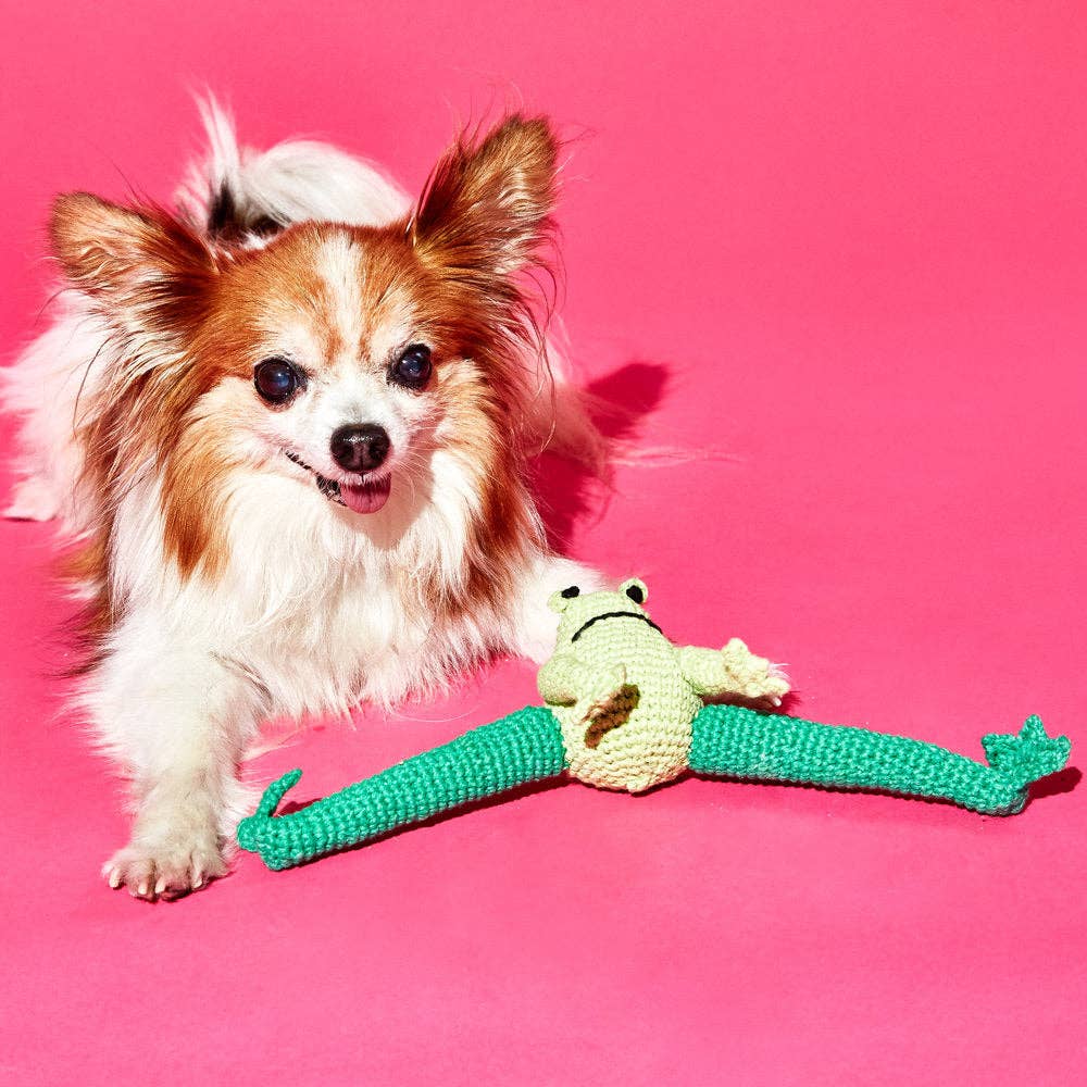 Yoga Frog Dog Toy - Hand Crochet - Organic Cotton and Natural Dyes - Fair Trade Made