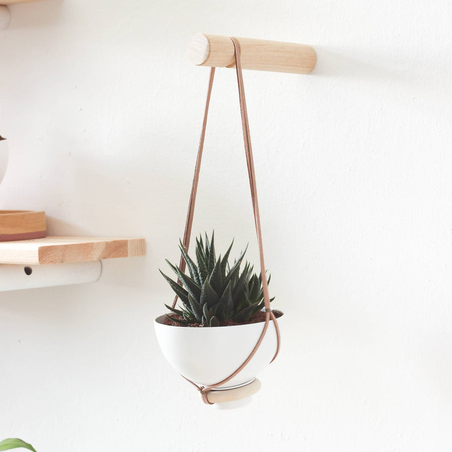 Mini Hanging Planter