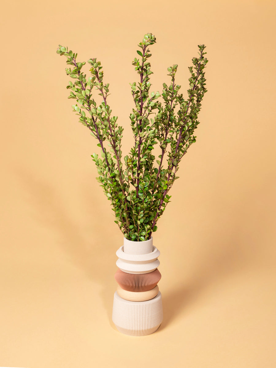 Modular Austin Vase